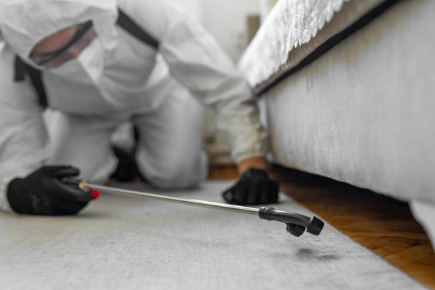 Professional Termite Control technician working in Dawson County County, NE